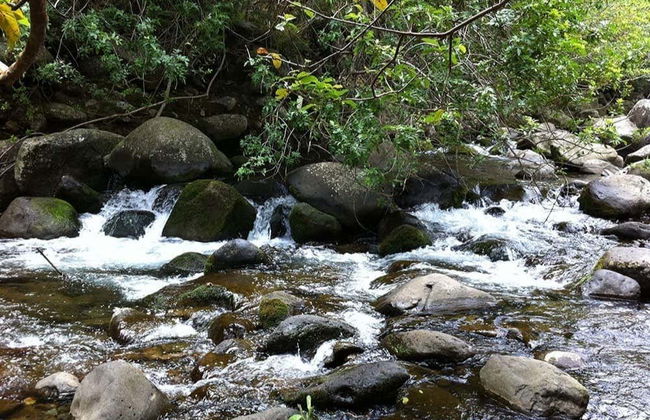 Tour de Maui, la vuelta a la isla - Foto 4