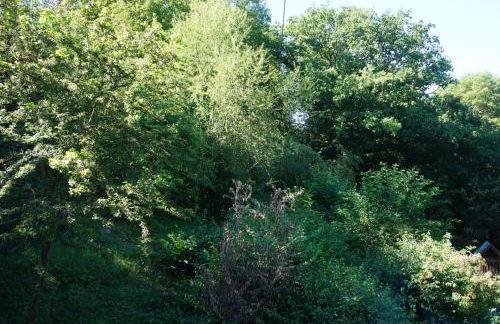 Grüne Oase - Foto 12