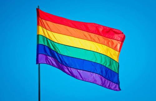 Bela Vista House - Quinta Amoreira - Foto 8