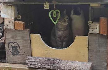 Casa Biscarello - Borgo e Lago - Foto 39