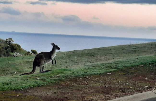 The Darling of Marina - A Hilltop and Sea Getaway - Foto 9