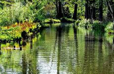 Kauperhaus - Photo 22