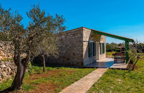 Krcina Holiday Home - Photo 29