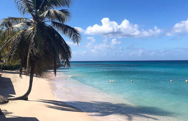 Tropical Sunset Beach Apartment Hotel - Foto 32