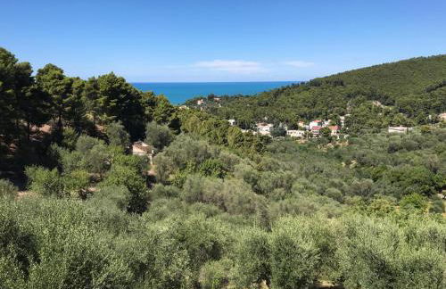 VILLA PINETA VISTA MARE - Foto 50