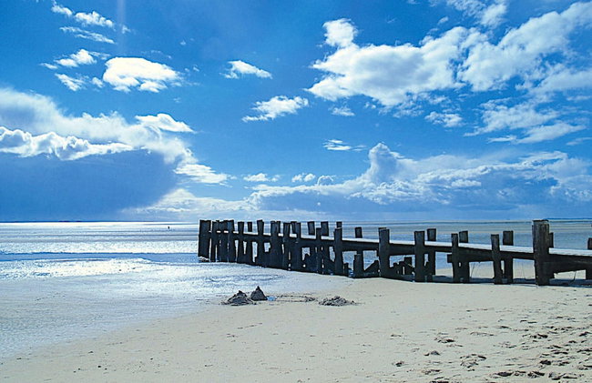 Semi-detached Houses, Oldsum auf Fohr - Foto 87