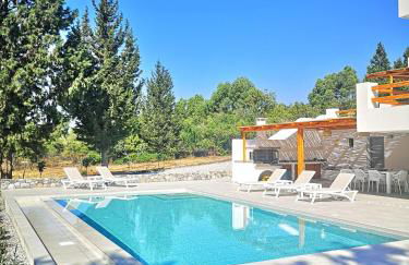 Chrysanthi Villa, Living in Nature - Foto 1