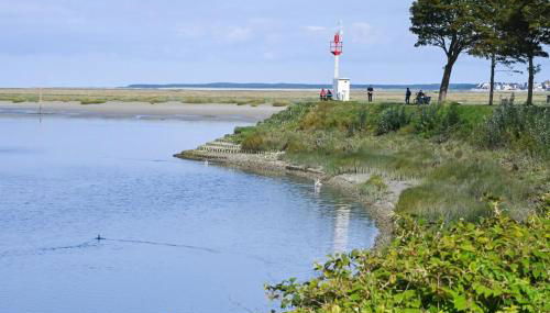 Les cigognes gites de la reserve - Foto 4