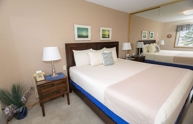 The Grey Gull - Foto 63