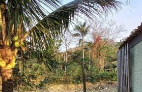 Casa com cachoeira-rio no quintal - Foto 36