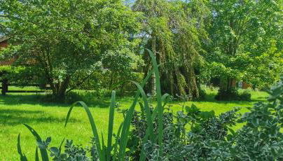 Gîte Le Clos des Vosges - Foto 4