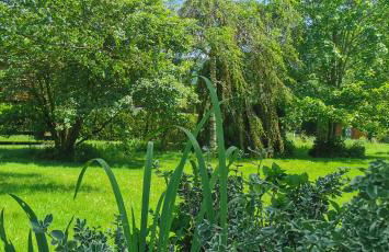 Gîte Le Clos des Vosges - Foto 4