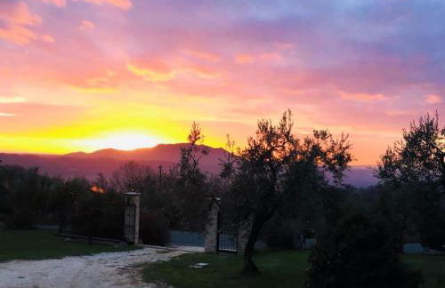 La Collina Degli Ulivi - Foto 19