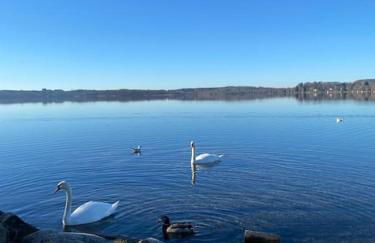 See-Appartement Wörthsee - Foto 8