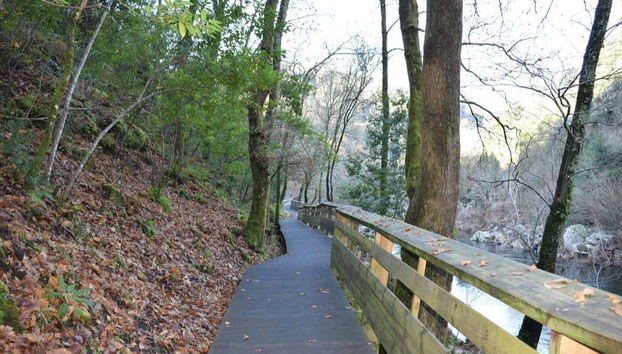 Paiva Walkways & 516 Arouca Bridge Day Trip - Foto 5