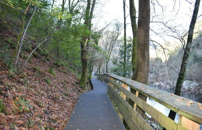 Paiva Walkways & 516 Arouca Bridge Day Trip - Photo 5