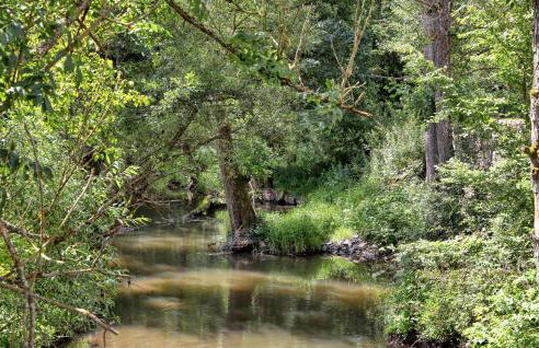 1 Bedroom Lovely Apartment In Irrhausen - Foto 22