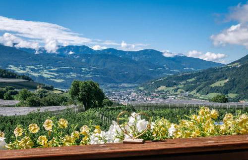 Tirolerhof guesthouse - Photo 53