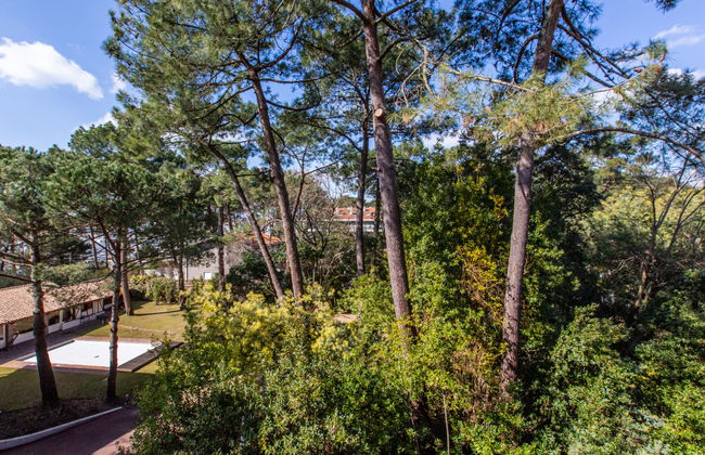 Le Bourret - Foto 24