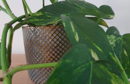 Apartment Pinia with free parking - Photo 35