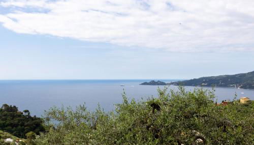 Country & Sea by PortofinoVacanze - Foto 3