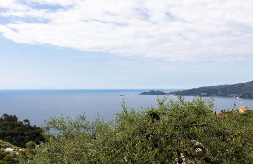 Country & Sea by PortofinoVacanze - Foto 3