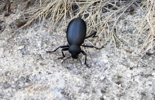 Mas de Muñoz - Foto 18