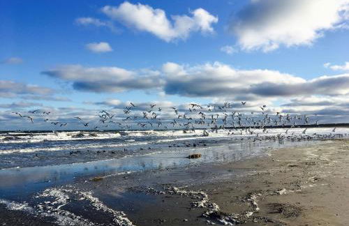 ILEX Appartements - Foto 38