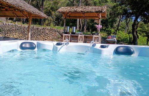 Gîte Lavande vue Luberon 33 hectares piscine Spa Sauna au cœur de Provence - Foto 2