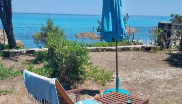 lamarzellina - Foto 2