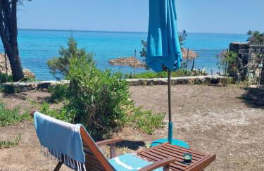 lamarzellina - Foto 2