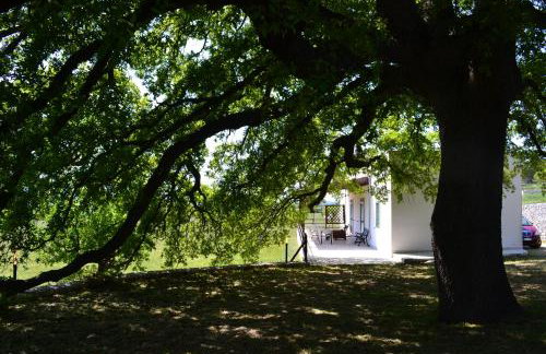 Masseria Torricella - Foto 52