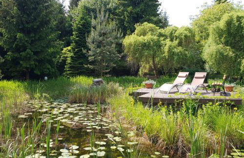 Kamienny Ogród Holiday Park - Foto 49