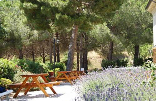 Dolce Vita - Foto 67