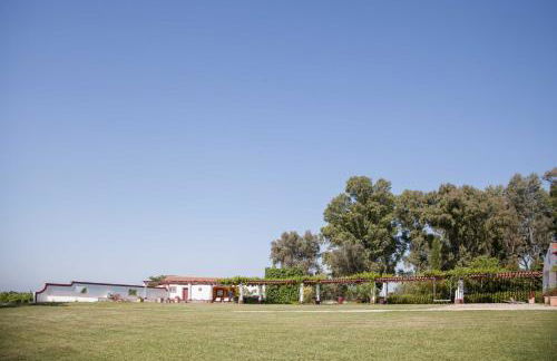 Stunning mansion in São Cristóvão - Photo 65