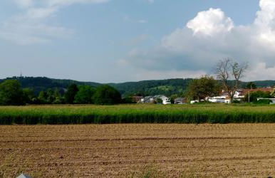Ferienwohnung in Grenzach - Foto 32
