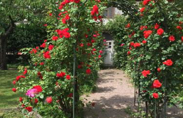 La Cour Zaepffel - Foto 67