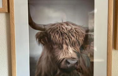 Modernes Apartment in historischem Gebäude - Foto 10