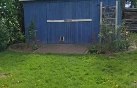 Küstenblüte - Foto 29