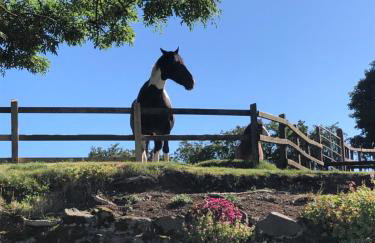 Hillcrest Cottage - Foto 23