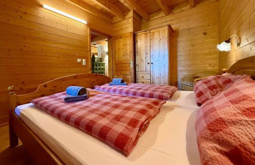 Holz-Ferienhaus Oberbrändi: Kachelofen, Sauna, WLAN, am Wald - Foto 29