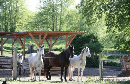 Apartment im ART.Quartier - Foto 20