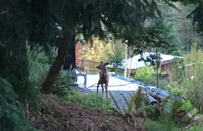 Crows Nest by Avantstay Accessible Home w/ Views - Foto 31