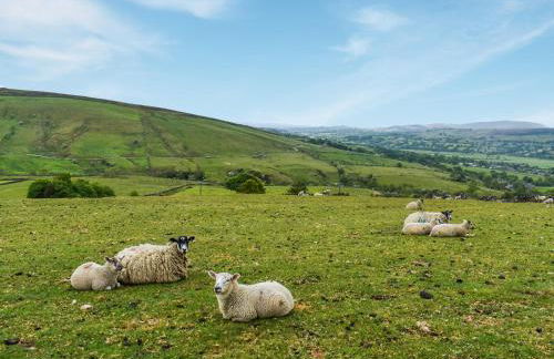 Bracken Hut At Copy House Hideaway - Foto 19