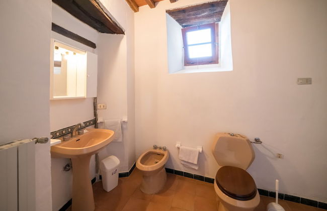 Fattoria di Cintoia - Photo 41