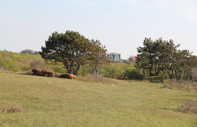 Family Apartment on Large Estate in Bergen aan Zee near Dunes & Beach - Photo 38