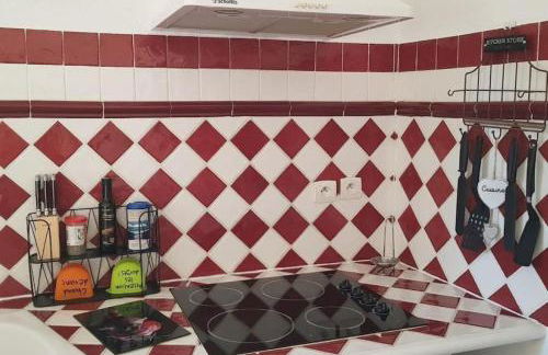 Duplex de charme avec terrasse au coeur du village - Foto 11