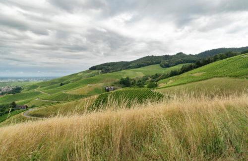 Ferienwohnung Hörth - Foto 10