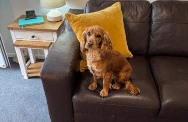 Cozy & Self Contained Garden Bungalow - Foto 10