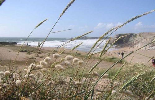 Appartement terrasse esprit loft vue sur mer - Foto 46